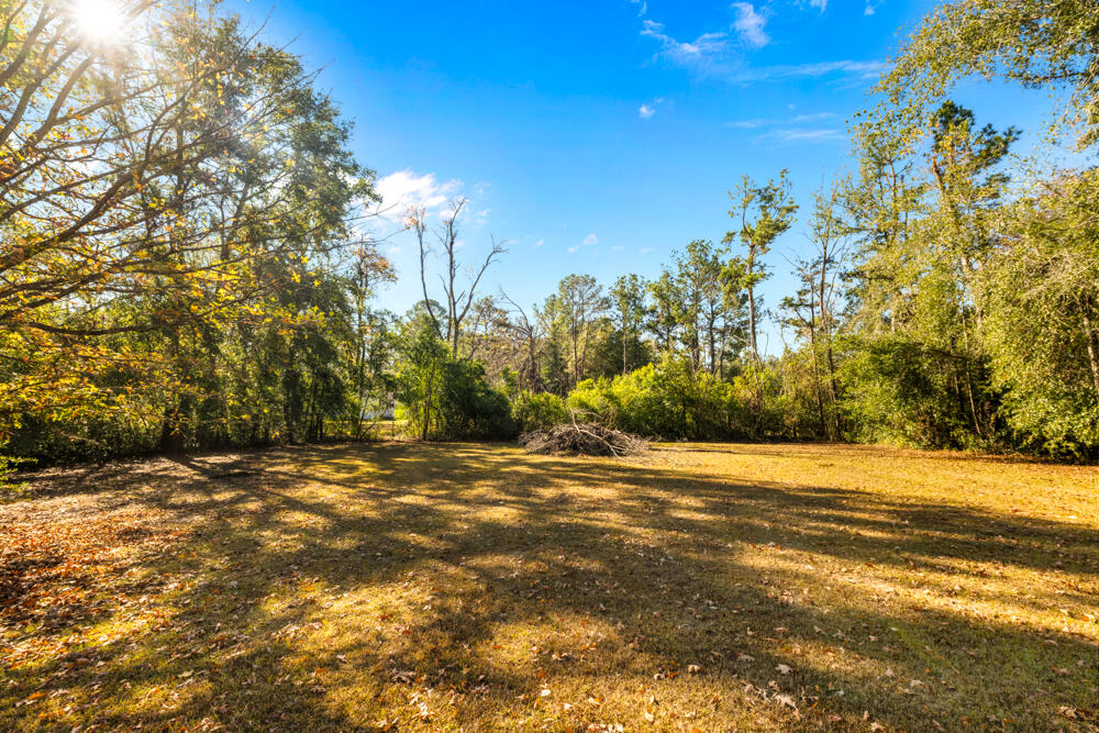 5710 US 90 Lee, FL 32059 - Photo 35 of 38 a view of a yard with a tree