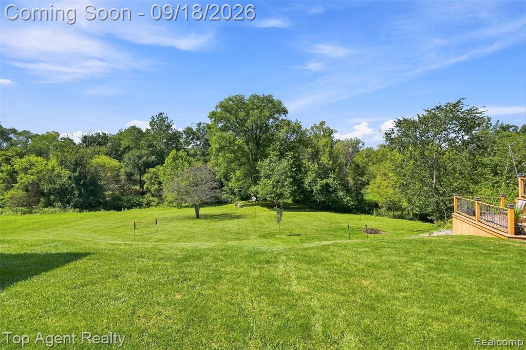247 Scott Road Smiths Creek, MI 48074 - Photo 45 of 67 Gallery Image 45