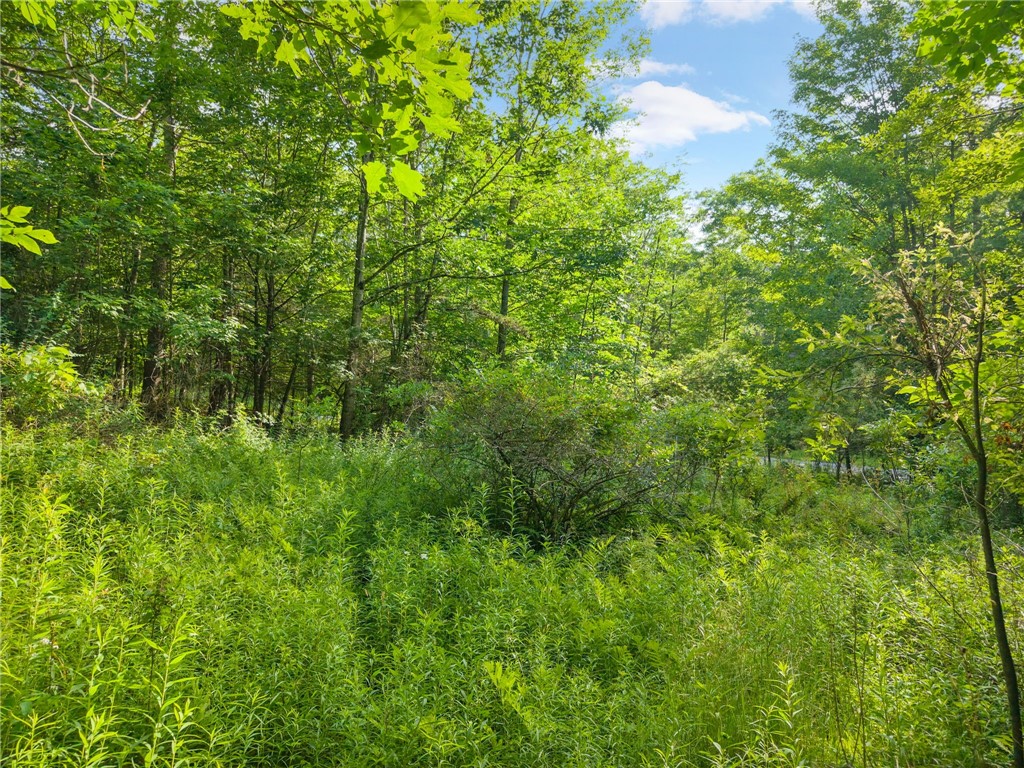Guinea Road Middleburgh, NY 12122 - Photo 9 of 10