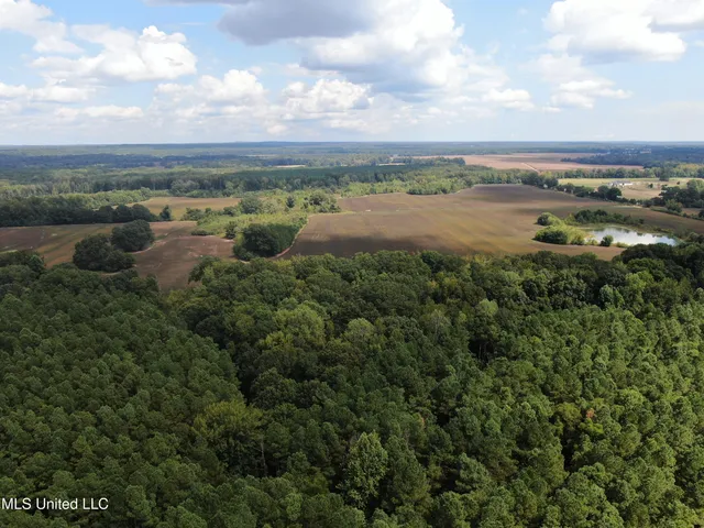 $429,000 | 1200 Harris Chapel Road, Michigan City, MS 38647