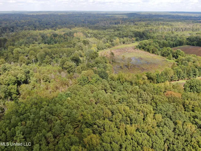 $429,000 | 1200 Harris Chapel Road, Michigan City, MS 38647