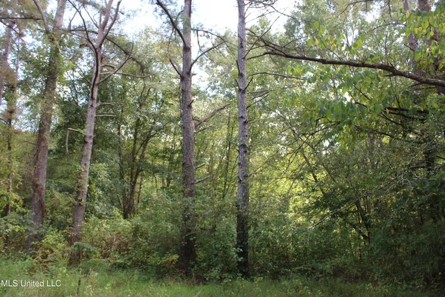 $429,000 | 1200 Harris Chapel Road, Michigan City, MS 38647