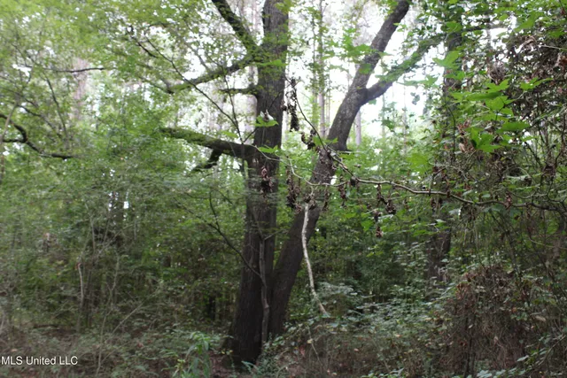 $429,000 | 1200 Harris Chapel Road, Michigan City, MS 38647