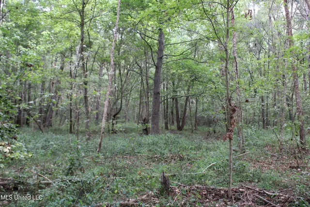 $429,000 | 1200 Harris Chapel Road, Michigan City, MS 38647