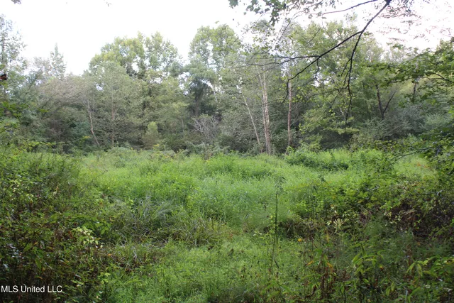 $429,000 | 1200 Harris Chapel Road, Michigan City, MS 38647