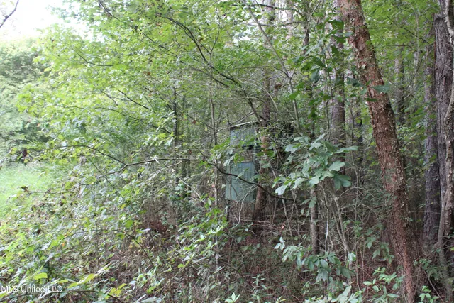 $429,000 | 1200 Harris Chapel Road, Michigan City, MS 38647