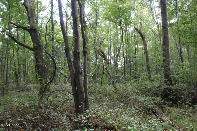 $429,000 | 1200 Harris Chapel Road, Michigan City, MS 38647