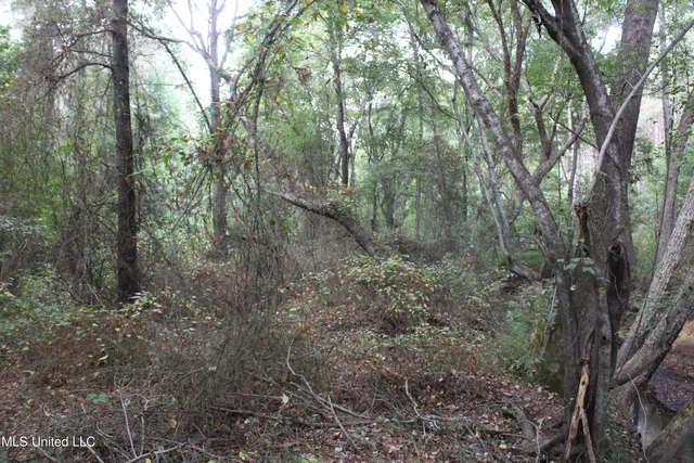 $429,000 | 1200 Harris Chapel Road, Michigan City, MS 38647