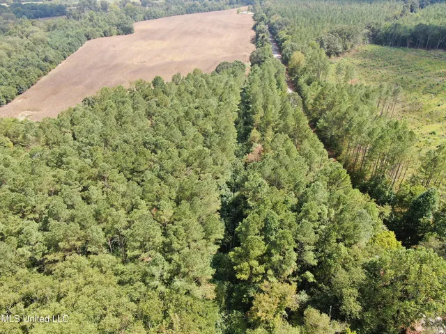 $429,000 | 1200 Harris Chapel Road, Michigan City, MS 38647