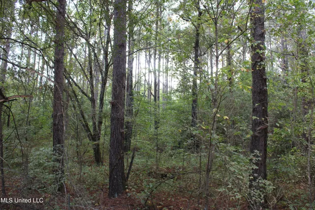 $429,000 | 1200 Harris Chapel Road, Michigan City, MS 38647