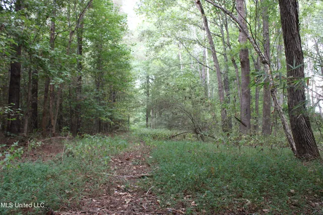 $429,000 | 1200 Harris Chapel Road, Michigan City, MS 38647