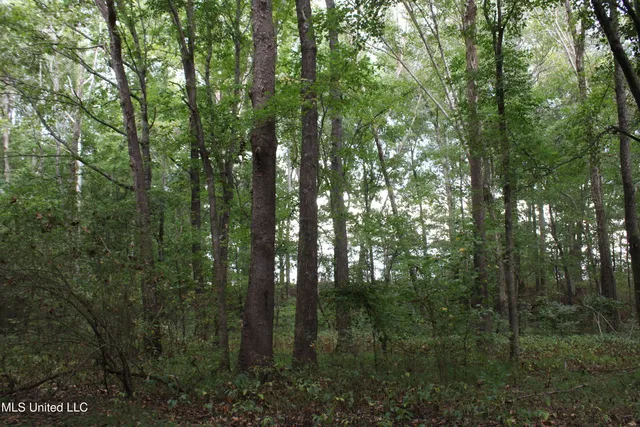 $429,000 | 1200 Harris Chapel Road, Michigan City, MS 38647