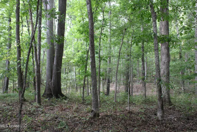 $429,000 | 1200 Harris Chapel Road, Michigan City, MS 38647