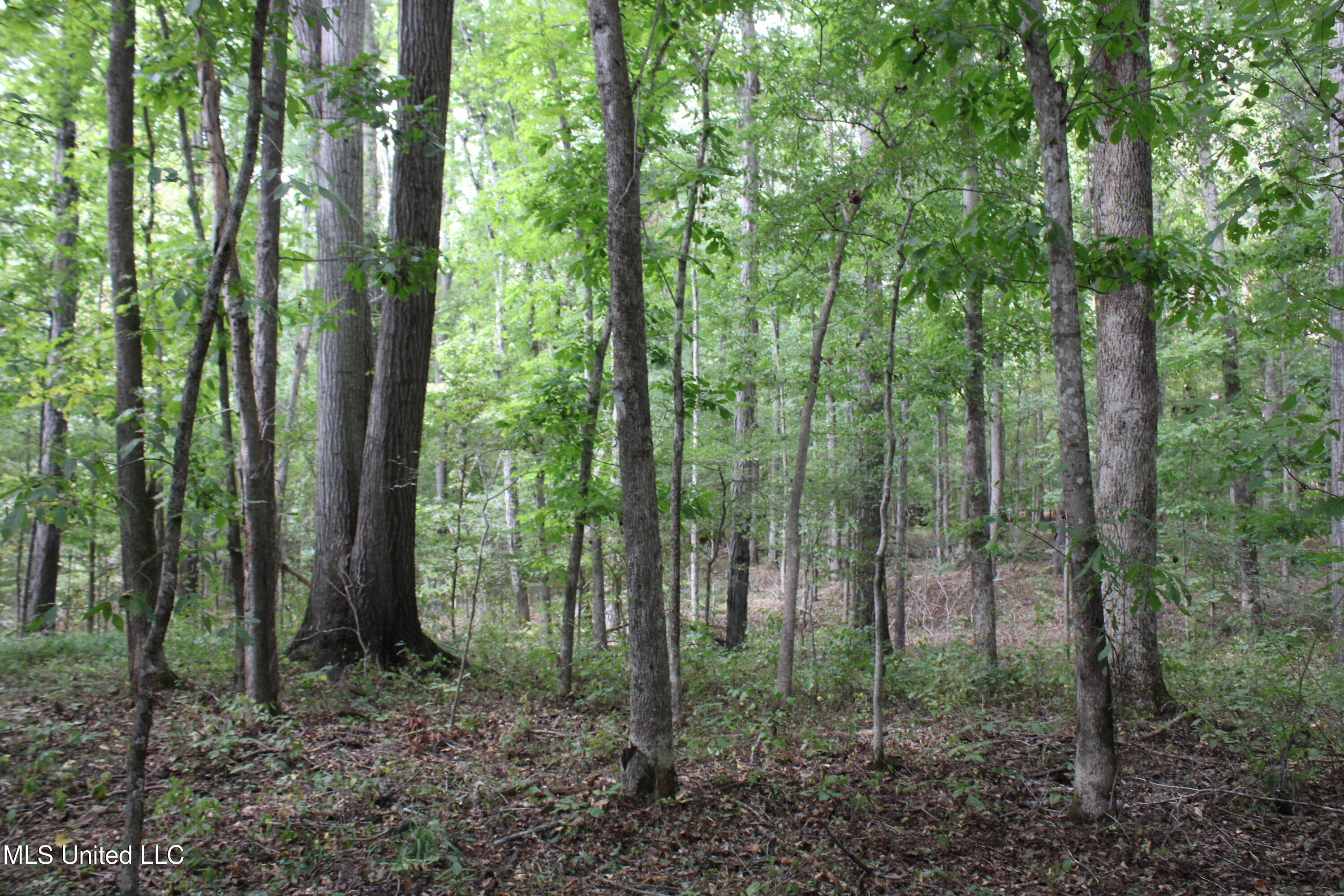 1200 Harris Chapel Road Michigan City, MS 38647 - Photo 46 of 61 IMG_6472