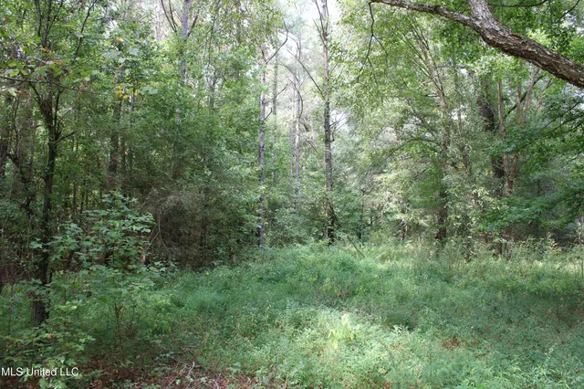 $429,000 | 1200 Harris Chapel Road, Michigan City, MS 38647