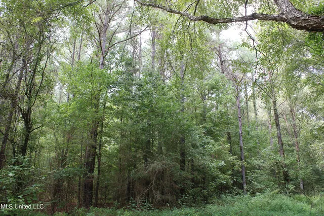 $429,000 | 1200 Harris Chapel Road, Michigan City, MS 38647