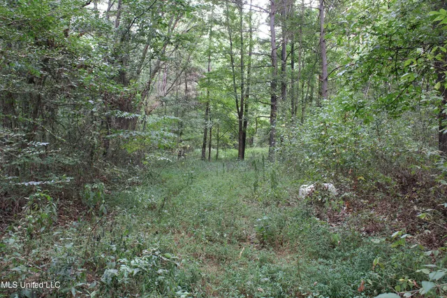 $429,000 | 1200 Harris Chapel Road, Michigan City, MS 38647