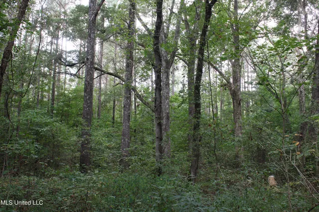 $429,000 | 1200 Harris Chapel Road, Michigan City, MS 38647