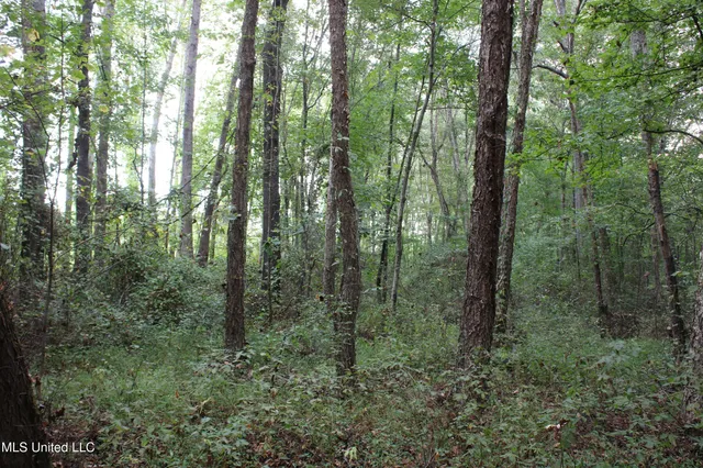 $429,000 | 1200 Harris Chapel Road, Michigan City, MS 38647