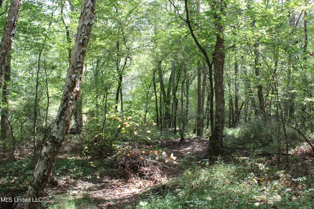 $429,000 | 1200 Harris Chapel Road, Michigan City, MS 38647