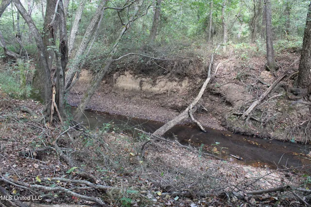 $429,000 | 1200 Harris Chapel Road, Michigan City, MS 38647