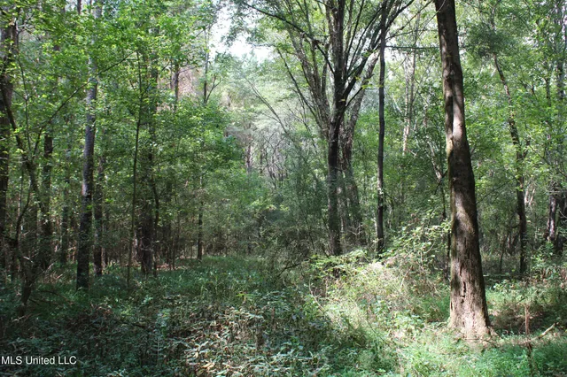 $429,000 | 1200 Harris Chapel Road, Michigan City, MS 38647