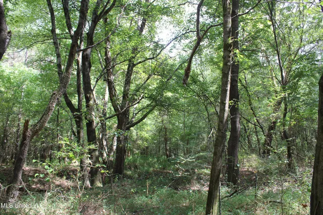 $429,000 | 1200 Harris Chapel Road, Michigan City, MS 38647