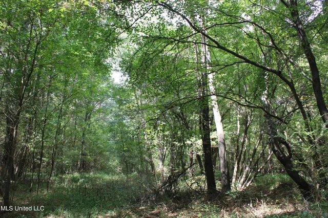 $429,000 | 1200 Harris Chapel Road, Michigan City, MS 38647