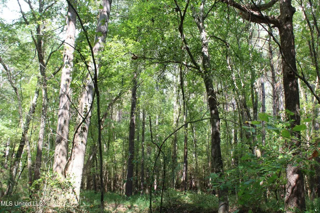 $429,000 | 1200 Harris Chapel Road, Michigan City, MS 38647