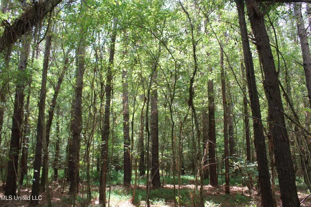 $429,000 | 1200 Harris Chapel Road, Michigan City, MS 38647