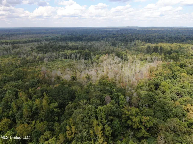 $429,000 | 1200 Harris Chapel Road, Michigan City, MS 38647