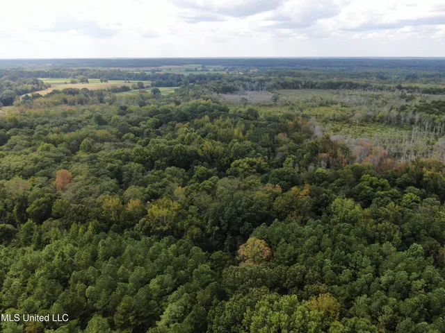 $429,000 | 1200 Harris Chapel Road, Michigan City, MS 38647