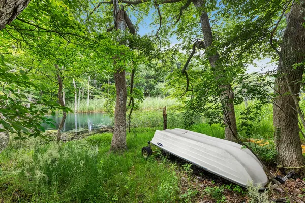 a view of a backyard with a trees
