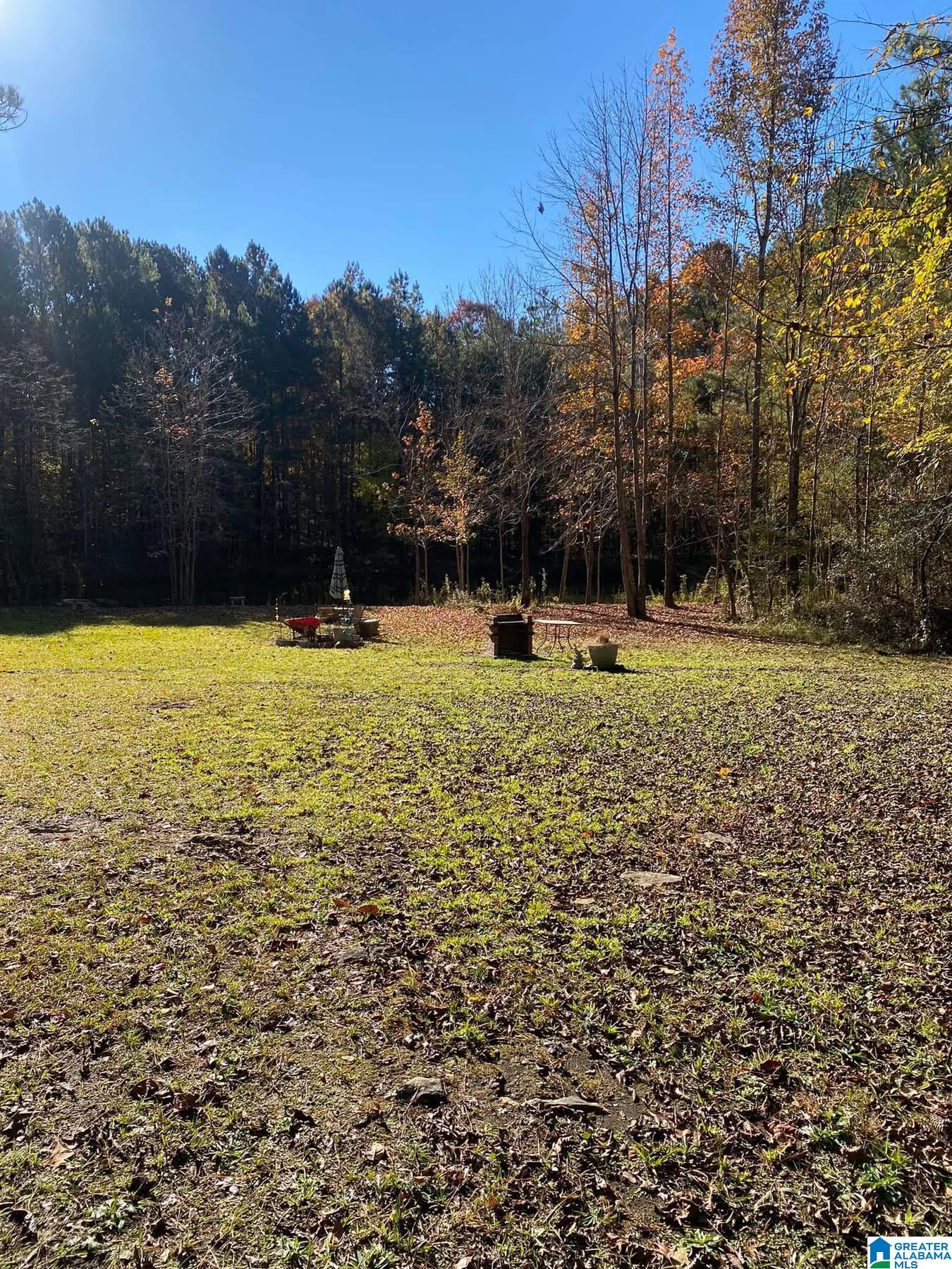 0 Evergreen Road, Unit 1 Springville, AL 35146 - Photo 5 of 14 Gallery Image 5