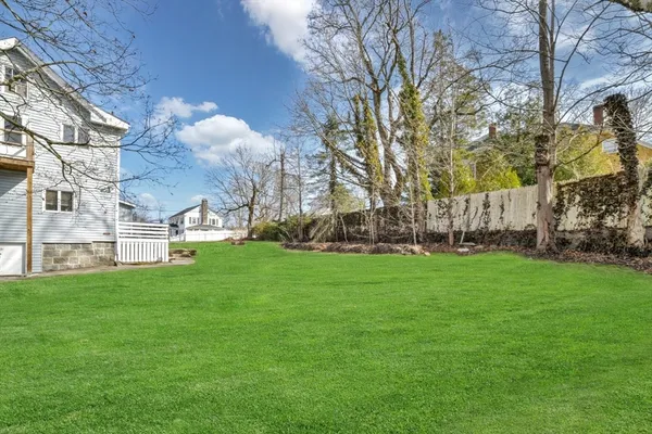 a view of a park with large trees