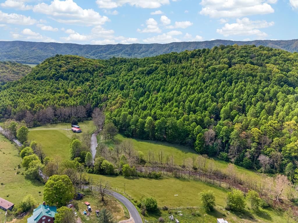 1366 Sunset River Road Ceres, VA 24318 - Photo 66 of 67 Gallery Image 66