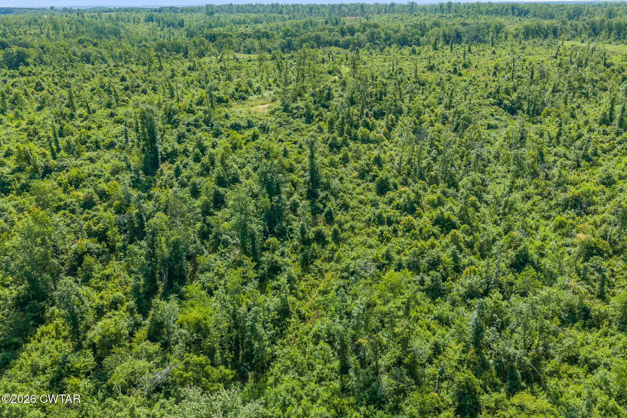 0 Coxburg Road Holladay, TN 38341 - Photo 10 of 18 DJI_20260613093646_0066_D