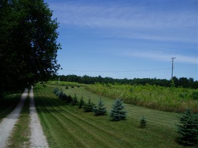 5796 Ostrum Road Belding, MI 48809 - Photo 11 of 17 Additional Photo