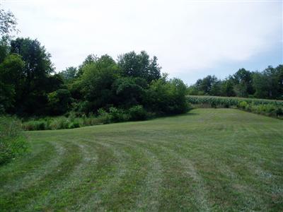 5796 Ostrum Road Belding, MI 48809 - Photo 14 of 17 Additional Photo