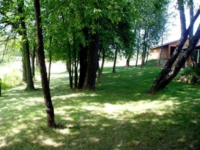5796 Ostrum Road Belding, MI 48809 - Photo 17 of 17 Additional Photo