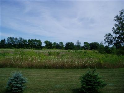 5796 Ostrum Road Belding, MI 48809 - Photo 7 of 17 Additional Photo