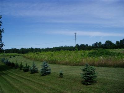 5796 Ostrum Road Belding, MI 48809 - Photo 10 of 17 Additional Photo