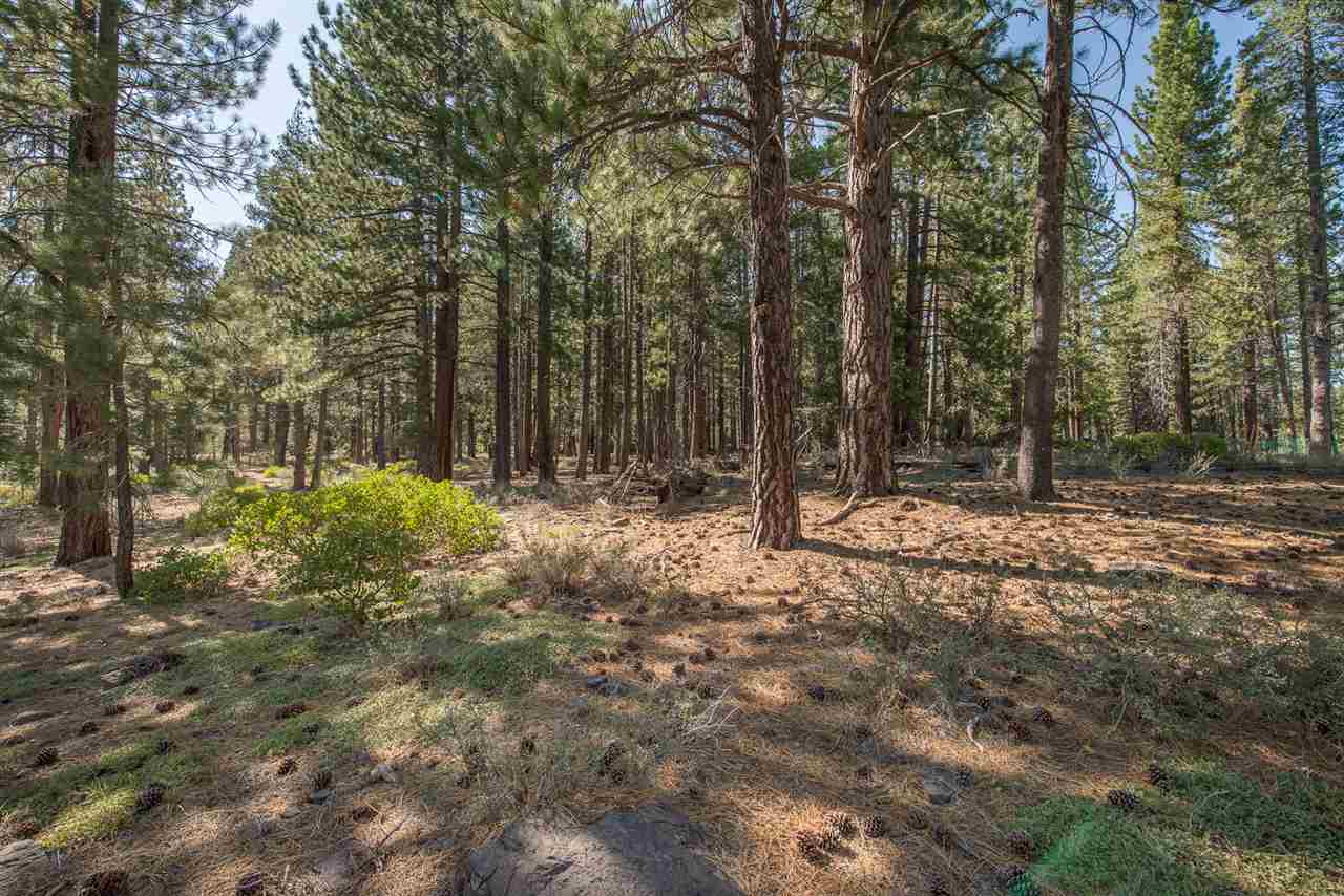 11800 Ghirard Road Truckee, CA 96161 - Photo 5 of 11 Gallery Image 5
