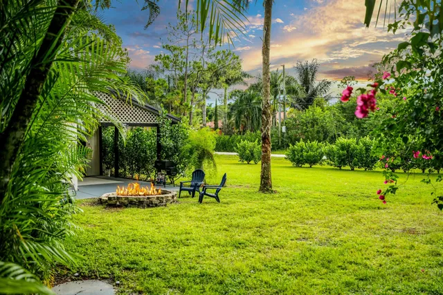 a view of a park with plants and large trees