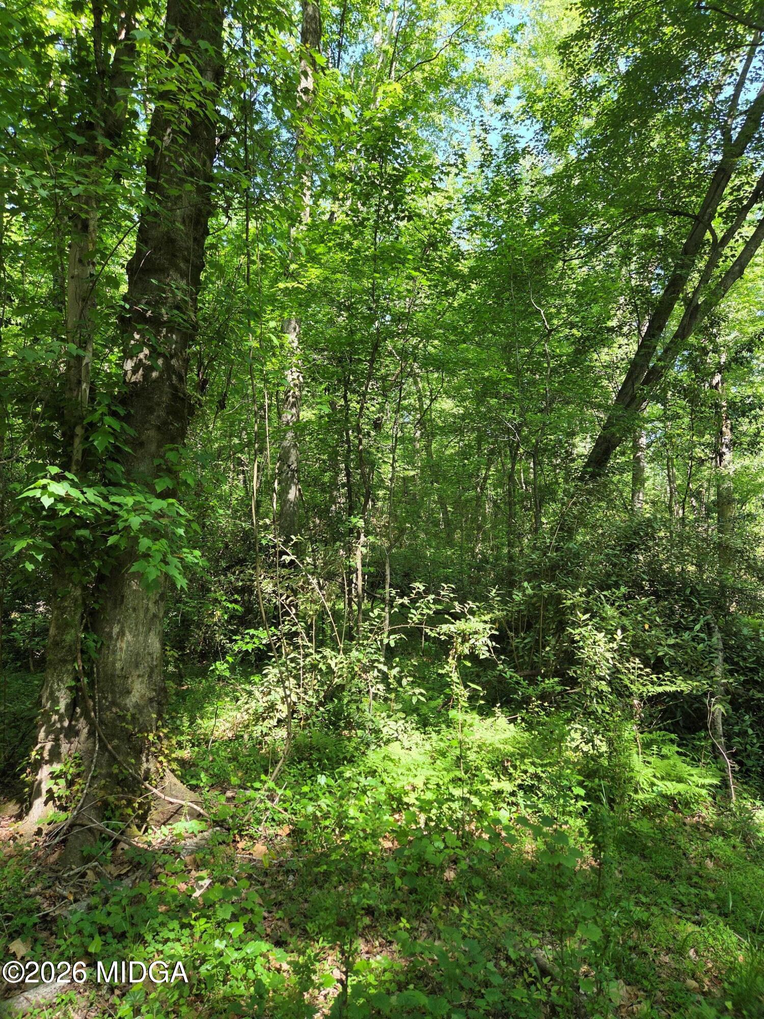 1898 Wood Valley Road Macon, GA 31211 - Photo 11 of 18 6