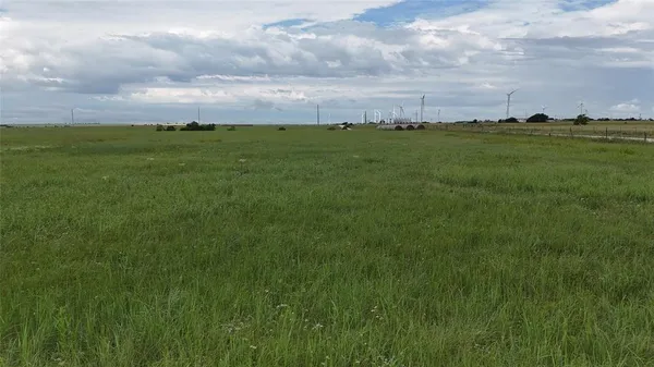 a view of a big yard with lots of green space