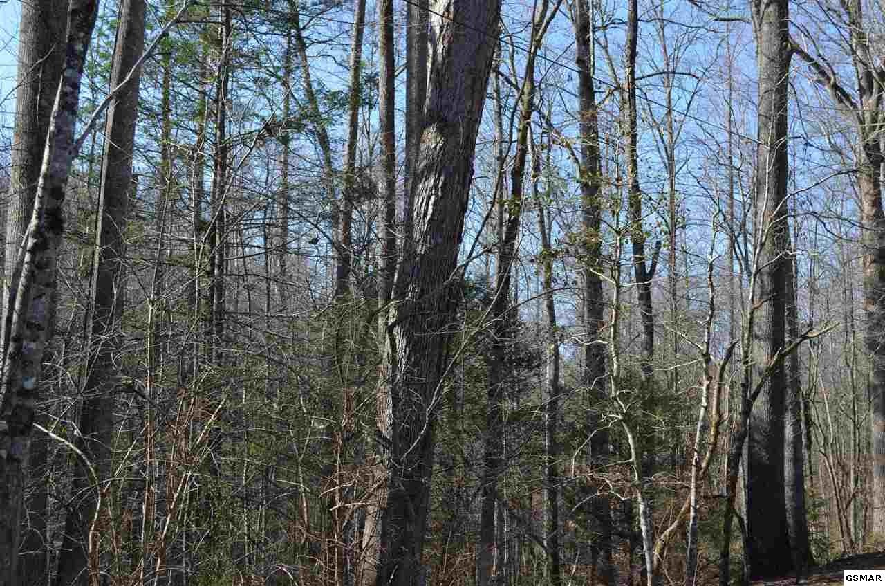 0 Tom Henry Road Townsend, TN 37882 - Photo 2 of 5 Gallery Image 2