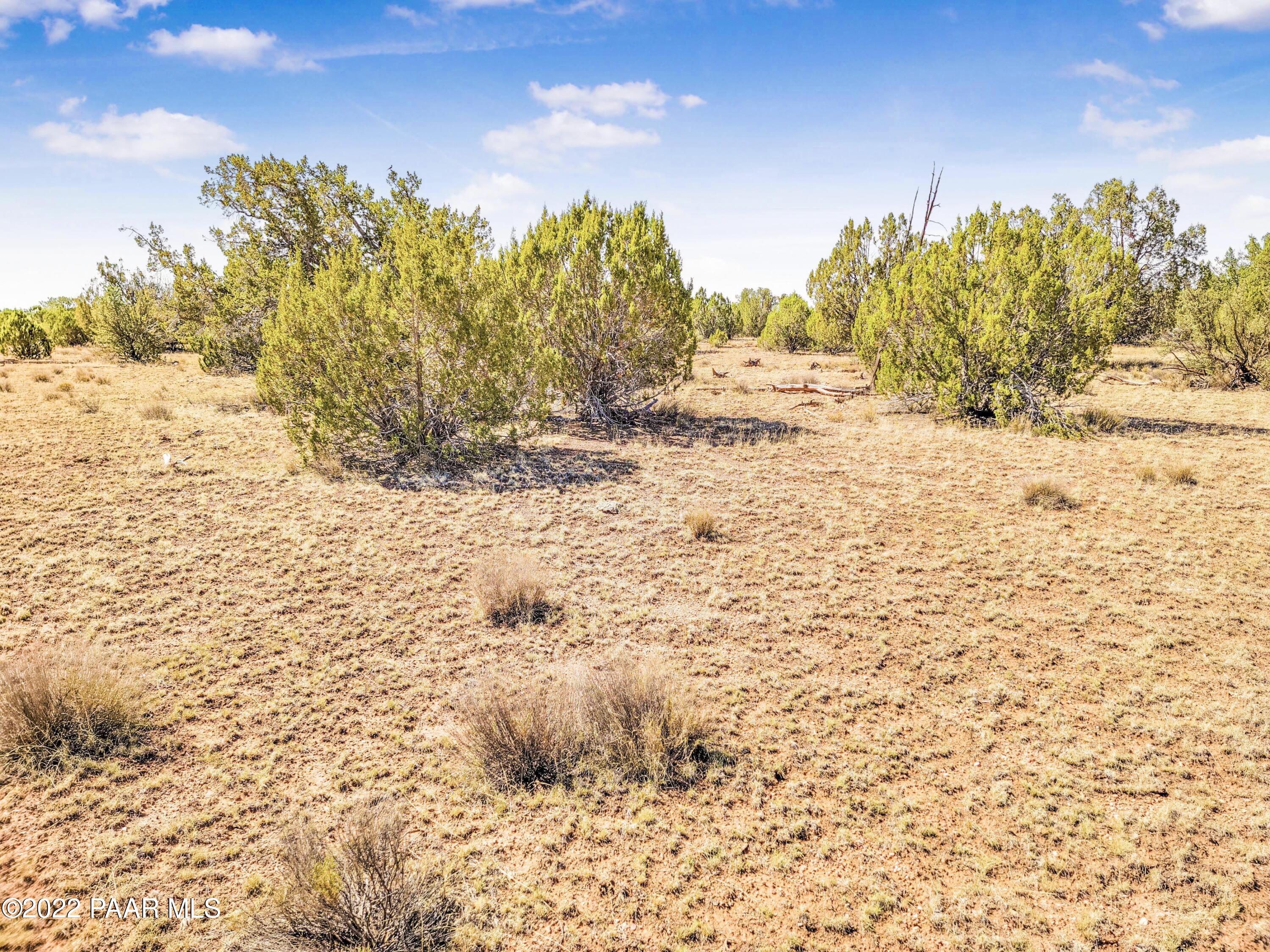 Lot 46 Wooden Ear Ranch Road Seligman, AZ 86337 - Photo 1 of 16