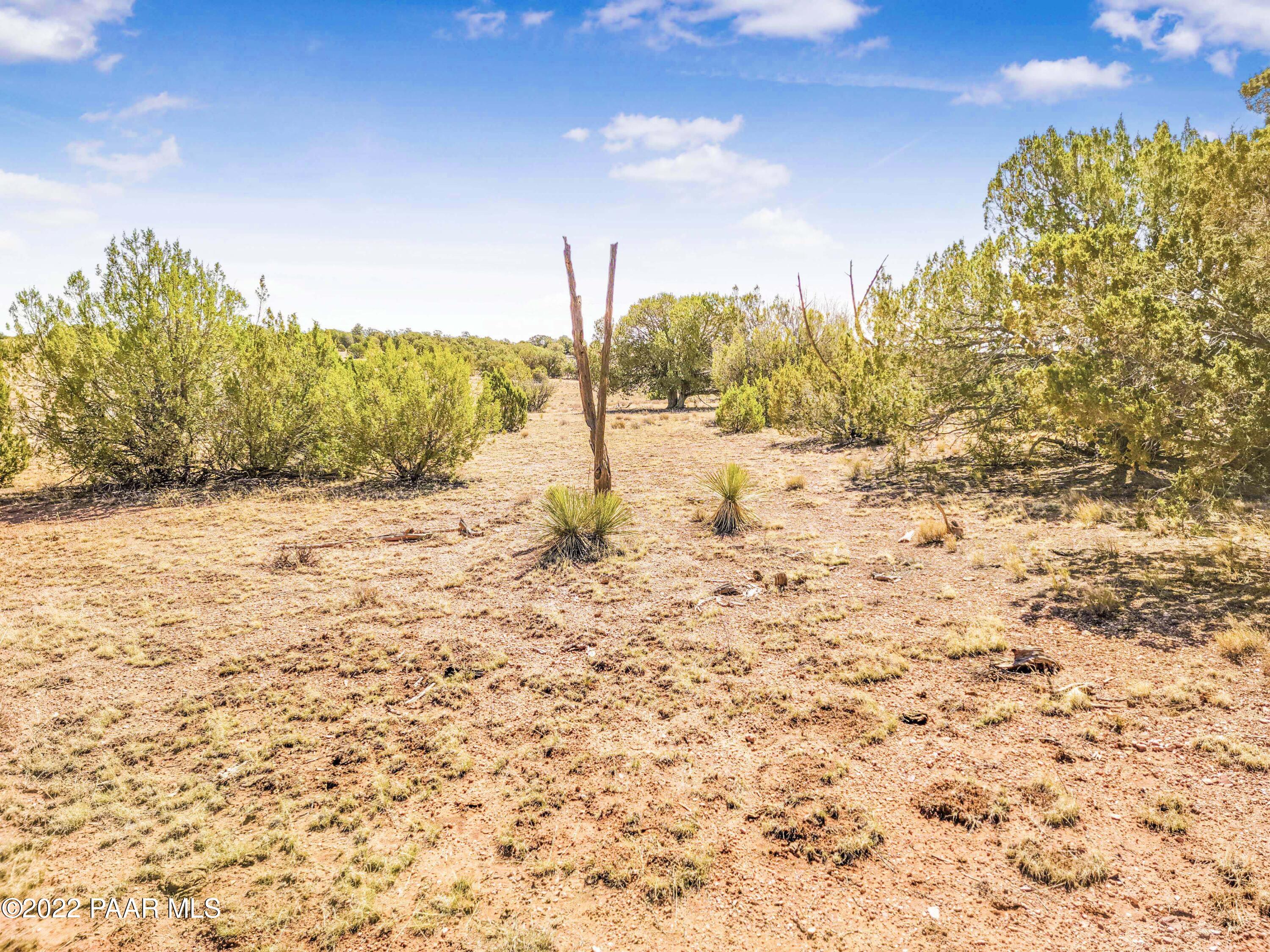Lot 46 Wooden Ear Ranch Road Seligman, AZ 86337 - Photo 4 of 16