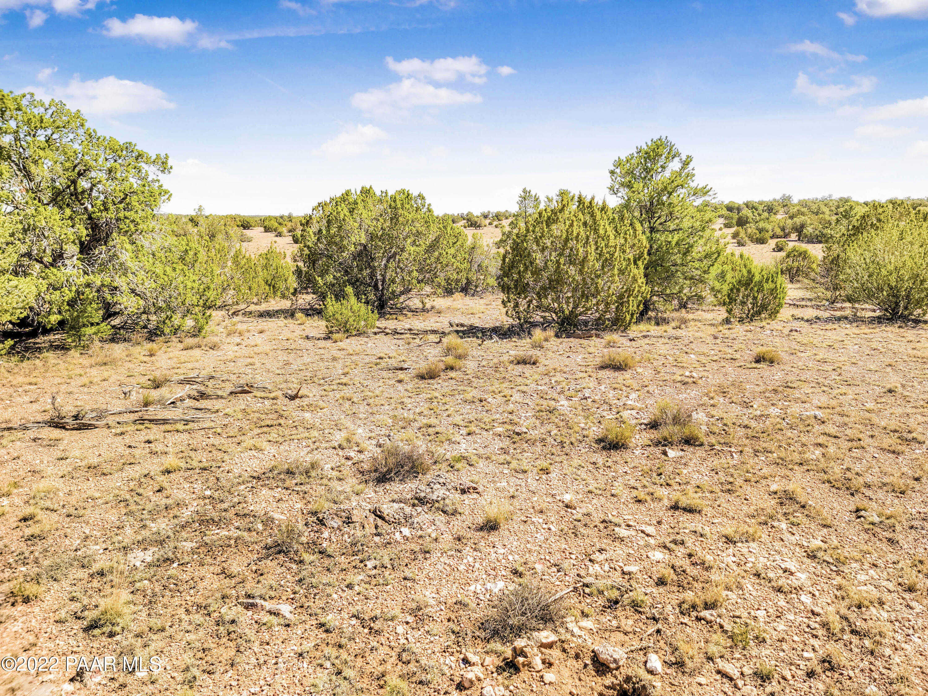 Lot 46 Wooden Ear Ranch Road Seligman, AZ 86337 - Photo 7 of 16